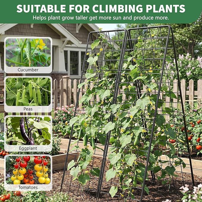 2 Pack Cucumber Trellis, 71" High Foldable A-Frame Garden Trellis for Raised Bed Garden Grow Support with Plant Support Clips Ties for Cucumber,Tomato, Climbing Plants and Flowers