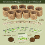Planters' Choice 9 Herb Indoor Window Garden Kit - House Plants Seeds - Best Unique Easter Gift Ideas for Women, Mom, Friend, Her, Birthday, Housewarming, Mother - New Home Kitchen Gifts