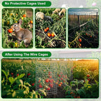 winemana 12 Set Garden Plant Protector Cage,36 Pcs 24x12 IN Metal Wire Protectors for Plants, Protection Cages with Stakes Nylon Ties Animals Barrier to Keep Rabbit Chicken Away from Flower Vegetables