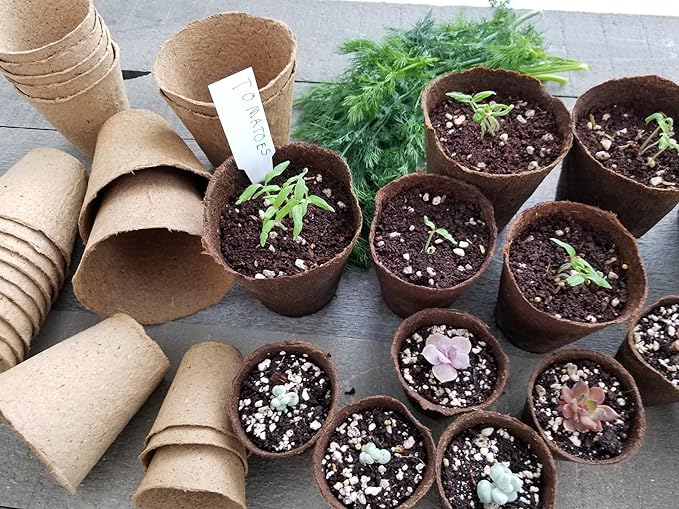 Daniel's Plants 4" Naked Pots | Large Natural Plantable Seed Starter Pots | OMRI-Listed Biodegradable for Seedlings | Enhanced Aeration | Earth Friendly - Peat Free | 30 Pack 4 Inch Round