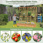 COSTWAY 71” Large Wooden Raised Garden Bed with Trellis and Hanging Roof, 2 Planter Boxes, 4 Drainage Holes, Removable Bottom Plate for Climbing Plants, Flowers, Outdoor Balcony Planter