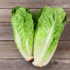 Seed Needs Romaine Lettuce Seeds Variety Pack for Planting a Collection of 2 Individual Varieties - Packets Include Red Romaine & Parris Island COS