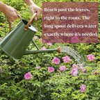 Metal Watering Can with Removable Spout, 1.5 Gallon Large Watering Cans for Plants, Galvanized Steel Gardening Water Can for Indoor & Outdoor Use, Watering Pot with Ergonomic Movable Handle