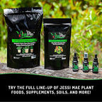 Jessi Mae Carnivorous Plant Food Drops - 30 ml - No-Dip Applicator for Carnivorous Plant Fertilizer - Nutrient-Rich Formula - Seaweed & Blood Meal Blend