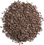 Seed Needs Romaine Lettuce Seeds Variety Pack for Planting a Collection of 2 Individual Varieties - Packets Include Red Romaine & Parris Island COS