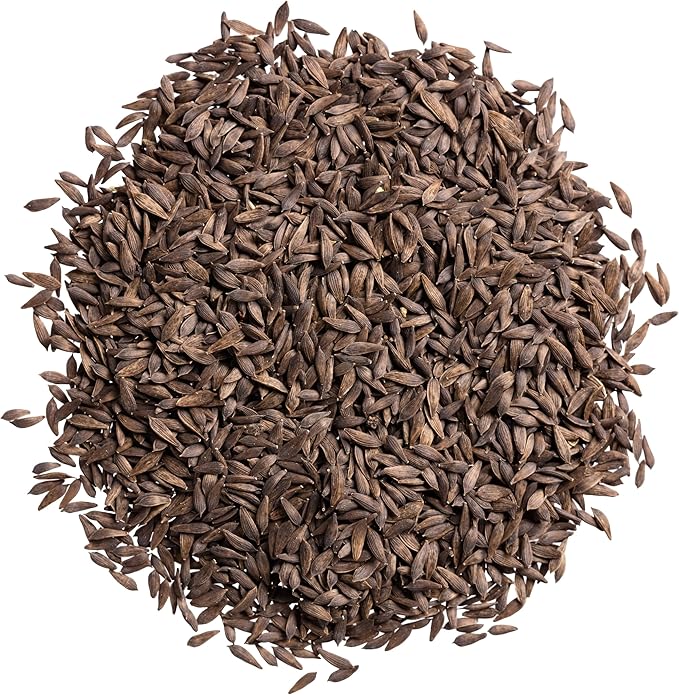 Seed Needs Romaine Lettuce Seeds Variety Pack for Planting a Collection of 2 Individual Varieties - Packets Include Red Romaine & Parris Island COS