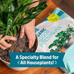 Back to the Roots 100% Organic Indoor Potting Mix (6 Quart), Promotes Healthy Houseplant Growth, Made in The USA