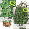 Seed Needs Cilantro & Dill Seeds for Planting Fresh Kitchen Herbs - Non-GMO Heirloom & Untreated Perennial Herb Seed to Plant a Culinary Garden Indoors or Outdoors (2 Pack Duo)