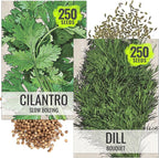 Seed Needs Cilantro & Dill Seeds for Planting Fresh Kitchen Herbs - Non-GMO Heirloom & Untreated Perennial Herb Seed to Plant a Culinary Garden Indoors or Outdoors (2 Pack Duo)