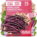 KVITER 75 Top Pick Pinkeye Cow Pea Seeds for Planting (Vigna Unguiculata) – Field Pea, Bush Purple Hull Peas, Heirloom & Organic | Peas & Beans – Vegetable Seeds for Outdoor Garden, Beds, Containers