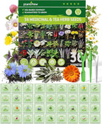 Medicinal Herb Seeds Variety Pack - 36 Heirloom Non-GMO Herbal Tea Garden Seeds: Chamomile, Lavender, Echinacea, Yarrow, Mugwort for Planting Indoor & Outdoor, Apothecary & Homesteading Supplies