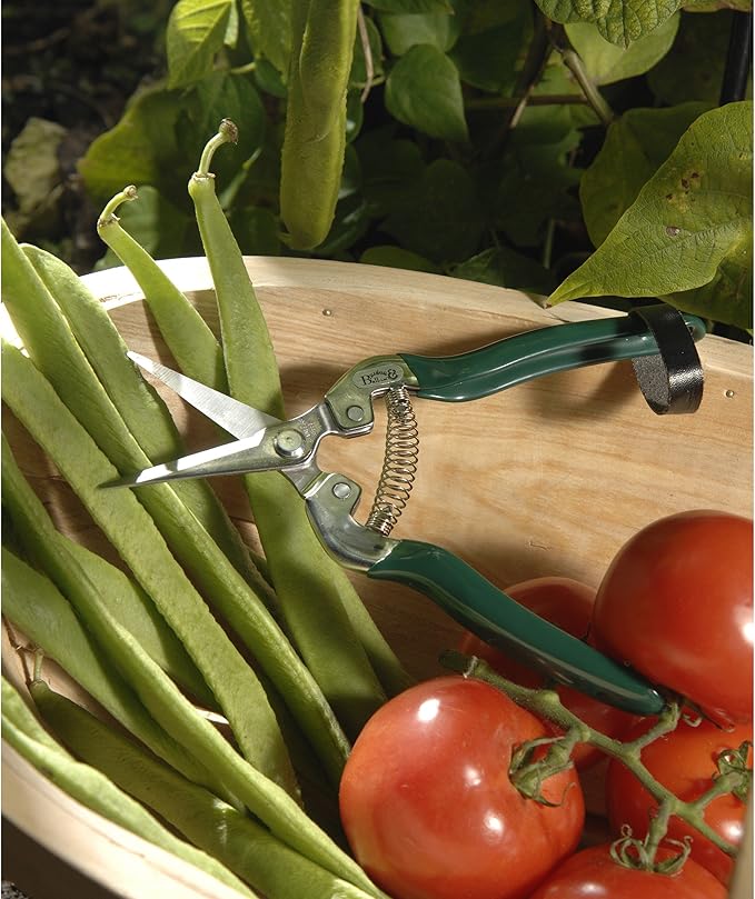 Burgon & Ball GTO/FFS RHS Flower & Fruit Snip