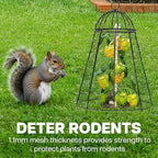Life Finds Chicken Wire Garden Cloche Set, Protective Plant Cover for Flowers and Produce with Removable Top, Protection from Animals, Pack of 6, LF-GC6P
