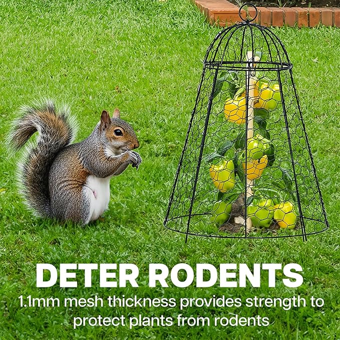Life Finds Chicken Wire Garden Cloche Set, Protective Plant Cover for Flowers and Produce with Removable Top, Protection from Animals, Pack of 6, LF-GC6P