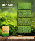 Live Moss 4-Pack (Each 3.5"x7") – Real Mixed Moss for Terrariums, Reptile Habitats, Fairy Gardens & Potted Plants – 4 Random Varieties, Easy to Revive, Natural Green Decor