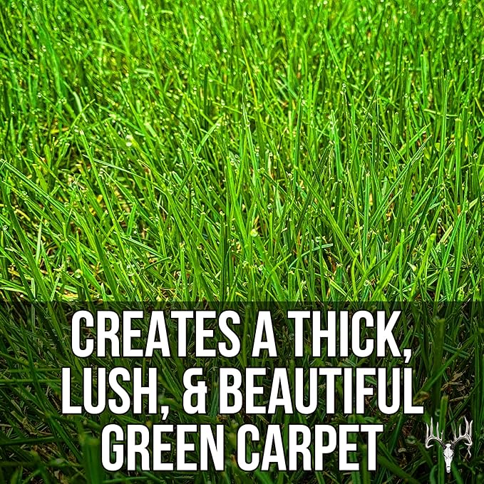 Crooked Bend Blue Eagle Kentucky Bluegrass Seed, 3LB, Uncoated & No Fill, Grow Full, Beautiful & Best Yards, Thicken Lawns & Turf, Growing Dark Green Organic Grass Carpet, Plants 580 Square feet