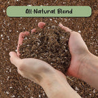 Soil Sunrise Desert Rose Potting Soil Mix (8 Quarts) Hand Blended Small Batch Soil Blend for Desert Rose Plant