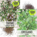Seed Needs Thyme & Oregano Seeds for Planting Fresh Kitchen Herbs - Non-GMO Heirloom & Untreated Perennial Herb Seed to Plant a Culinary Garden Indoors or Outdoors (2 Pack Duo)
