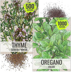Seed Needs Thyme & Oregano Seeds for Planting Fresh Kitchen Herbs - Non-GMO Heirloom & Untreated Perennial Herb Seed to Plant a Culinary Garden Indoors or Outdoors (2 Pack Duo)