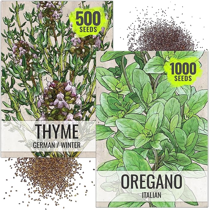 Seed Needs Thyme & Oregano Seeds for Planting Fresh Kitchen Herbs - Non-GMO Heirloom & Untreated Perennial Herb Seed to Plant a Culinary Garden Indoors or Outdoors (2 Pack Duo)