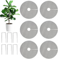 6/12 Pcs 11.8" Plant Protector from Cats Indoor with 6 Pcs Metal Stakes, Cuttable Pot Cover from Animals