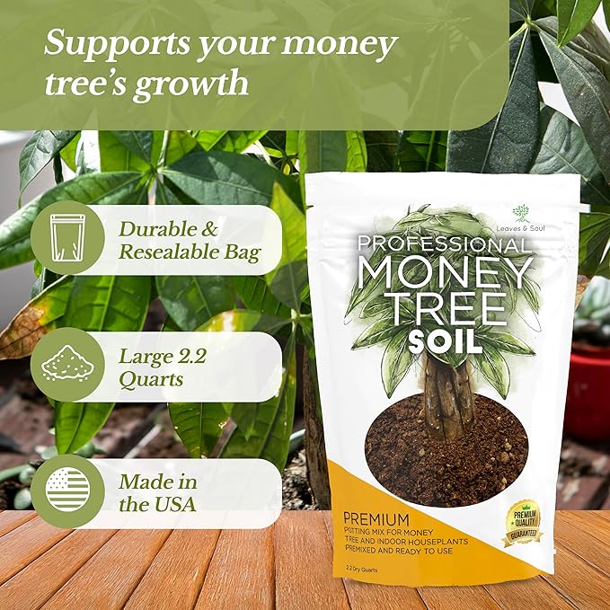 Professional Money Tree Soil Mix Large 2.2 Quarts Ready to Use, Premium Indoor Potting Soil for Money Tree Plants, Peat Moss Coco Coir Perlite Dolomite, Fast Draining Nutrient Rich Blend Made in USA