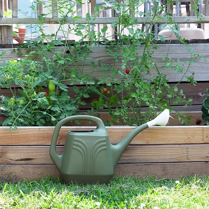 Bloem Promo Watering Can: 2 Gallon Capacity - Living Green - Durable Resin, Removable Nozzle Spout, Two Handles, Wide Mouth, for Indoor and Outdoor Use, Gardening