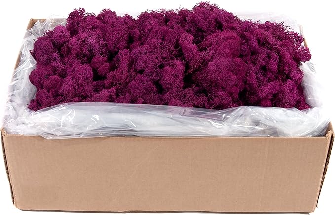 SuperMoss (25139) Reindeer Moss – Soft Preserved Moss for Home Decor, Crafts, Terrariums, Floral Design, and Wedding Decorations, 2,588 cu in, Fuchsia