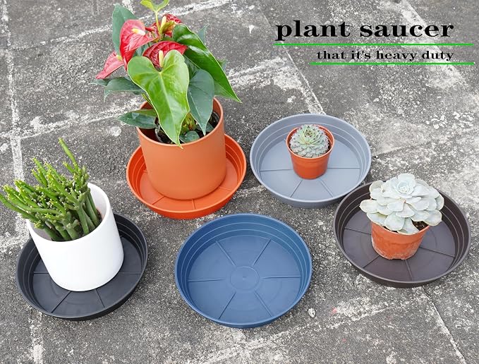 LWALRS Plant Saucer 14 Inch 2 Pack 6 8 10 12 14 16 18 20 25, Plastic Plant Trays for Pots，Extra-Deep Plant Water Dray Tray, Bird Bath Bowl, Heavy Flower Plant Saucers Indoors and Outdoor No Holes