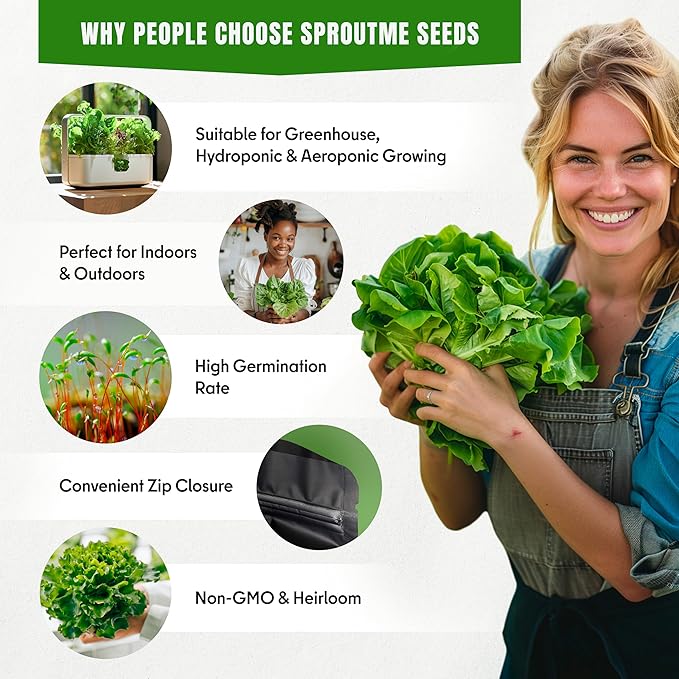 Lettuce & Salad Greens Seeds Variety Pack – Spinach, Kale, Arugula, Romaine & Iceberg Lettuce – 15 Varieties, 7300+ Non-GMO Heirloom Seeds, Indoor & Outdoor Growing