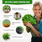 Lettuce & Salad Greens Seeds Variety Pack – Spinach, Kale, Arugula, Romaine & Iceberg Lettuce – 15 Varieties, 7300+ Non-GMO Heirloom Seeds, Indoor & Outdoor Growing