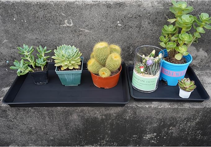 VUWEZ 2 Pack Plant Growing Nursery 1020 Trays, Plant Saucer Tray, Heavy Sturdy Seed Starting Trays, Plant Saucer for Indoors No Holes, Seed Starter Growing Tray (22"x11.2", Black)