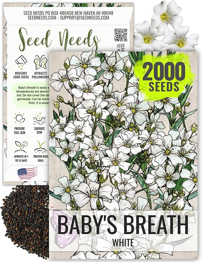 Seed Needs White Baby's Breath Seeds for Planting - Heirloom & Open Pollinated Annual Flowers - Perfect for a Butterfly Garden, Bouquets & Floral Arrangements (1 Pack)