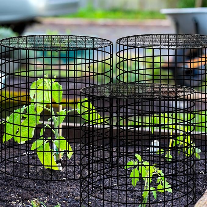 Hi Sasara 3 Sets Wire Plant Protectors Cage,11.8" Dia x 11.8" H,Metal Plant Protector Cage with Round Lids Plant Protector for Keep Rabbits Squirrels Animals Out,Garden Plant Protector with Staples