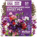 KVITER 50 Knee High Sweet Pea Seeds (Lathyrus Odoratus) - Sweet Peas, Fragrant Compact Blooms, Non GMO, Heirloom Seed Packets - Annual Flower Seeds for Outdoor Garden, Containers, Cut Flowers