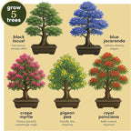 Planter's Choice Bonsai Tree Starter Kit - Unique Easter Gifts for Women, Men - Birthday Gifts for Adults - Indoor Live House Plants - DIY for Adults Craft Kits - Hobby Gift Gardening Lovers