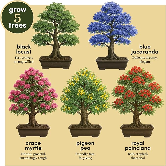 Planter's Choice Bonsai Tree Starter Kit - Unique Easter Gifts for Women, Men - Birthday Gifts for Adults - Indoor Live House Plants - DIY for Adults Craft Kits - Hobby Gift Gardening Lovers