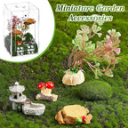 Jumping Spider Enclosure with Habitat Mini Figurines Set Acrylic Terrarium Habitat Mini Jumping Spider House Decorations for Tarantulas Snail Mantis Small Reptiles(Side Door)