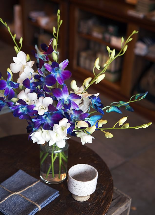 KaBloom - 5 Blue Dendrobium Orchids & 5 White Dendrobium Orchids with Free Vase - Fresh Flowers for Birthday, Valentine's & Mother's Day