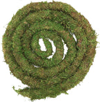 USMOLA Moss Vine for Reptiles, Bendable Climbing Vines Reptile Tank Accessories, Natural Moss Rope for Leopard Gecko, Lizard, Snake, Chameleon, Frog Terrarium Decor (Jungle Green, 6.5 FT)