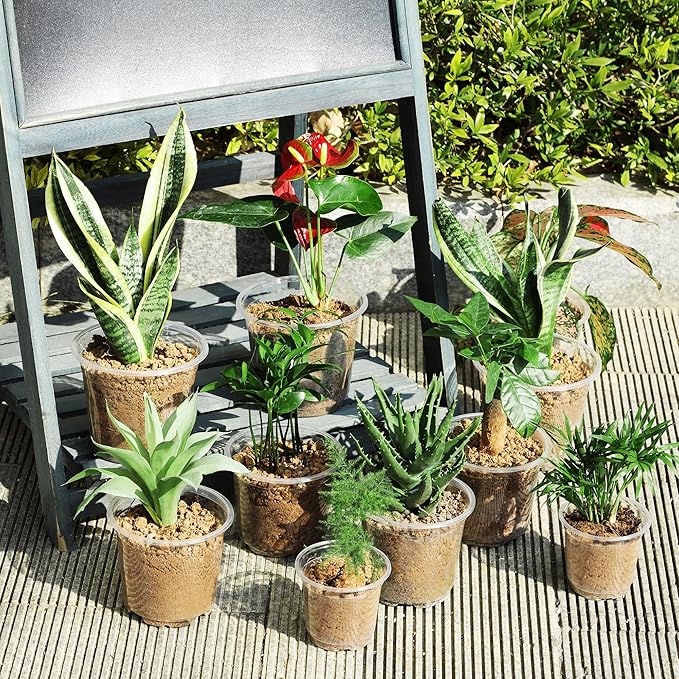 60 Pack 4/5/6 Inch Clear Nursery Pots with Drainage Holes, Transparent Plastic Plant Pots, Reinforced Seed Starter Flower Pots, Comes with 50pcs Plant Labels