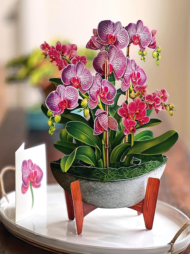Freshcut Paper Pop Up Cards, Orchid Oasis, 12 Inch Life Sized Forever Flower Bouquet 3D Popup Greeting Card, Anniversary Card, Mother's Day, Blank Notecard & Envelope