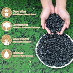 Mulctun 12lb Black Rocks for Planters- 1/4" - 3/4" Polished Black Stones Smooth Flat Pebbles for Fish Tanks Decorative River Rocks for Vases Bonsai Pots Garden Stones for Landscaping and Yards