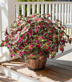 Artificial Greenery Plants Outdoor, 5 Pcs Faux Coleus Plants UV Resistant Silk Plants with Stems, Fake Plants for Outside Garden Patio Hanging Planter Pathway Front Porch Decoration(Red)