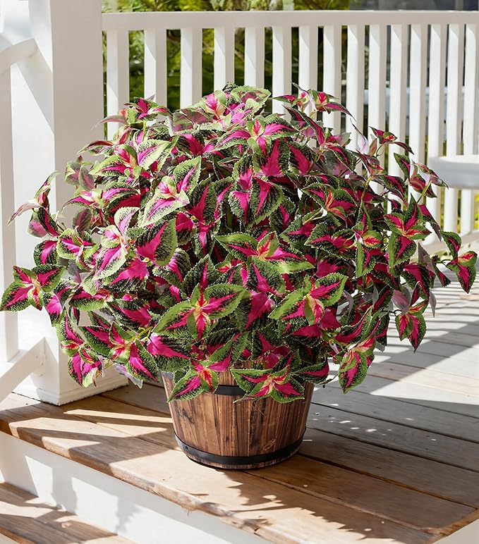 Artificial Greenery Plants Outdoor, 5 Pcs Faux Coleus Plants UV Resistant Silk Plants with Stems, Fake Plants for Outside Garden Patio Hanging Planter Pathway Front Porch Decoration(Red)