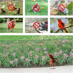 Plant Fence Protectors from Animals, 16.4 x 1.15ft Plant Cages for Outdoor Plants, Black Wire Plant Protector with Ground Stakes, Nylon Ties, Needle-Nose Pliers and Gloves to Keep Animals Out (Green)
