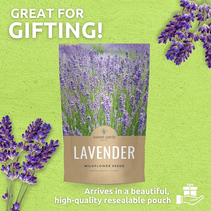Lavender - Bulk 1 Pound Bag - 400,000 Flower Seeds for Planting - Lavandula angustifolia