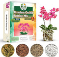 [Upgraded] DUSPRO Orchid Potting Mix for Repotting with Forest Moss, Pine Bark, Perlite & Pumice Natural Ingredients, Orchid Bark Potting Mix, Orchid Repotting Kit Drainage Indoor Potting Medium 2QT