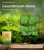 Fresh Real Live Moss Variety Pack for Orchids & Mini Landscapes DIY Terrariums, Bonsai, Reptile Habitats & Potted Plants | Revives Quickly with Mist, Soft Green Texture (Whole 8"x8" Leucobryum Moss)