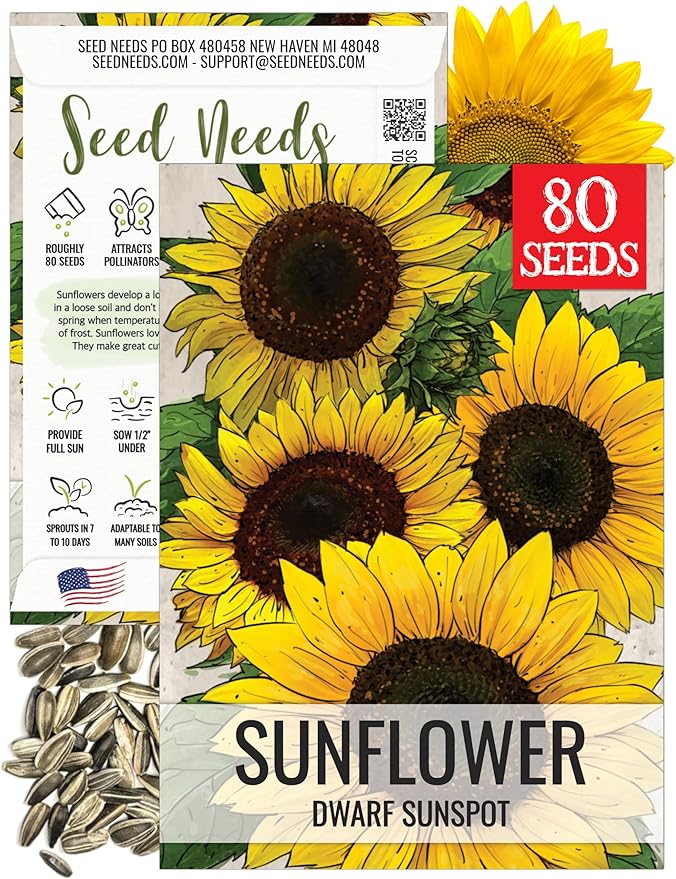 Seed Needs Dwarf Sunspot Sunflower Seeds for Planting Short Yellow Sunflowers - Heirloom & Open Pollinated Annual Cut Flower Seed to Plant 2 Foot Tall Sun Flowers (1 Pack)